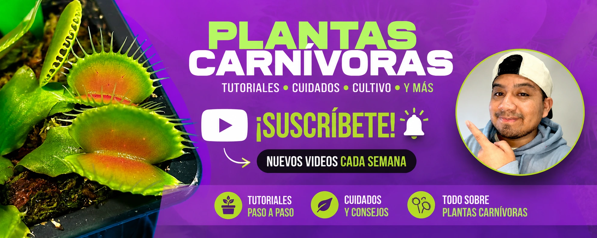 youtube gula