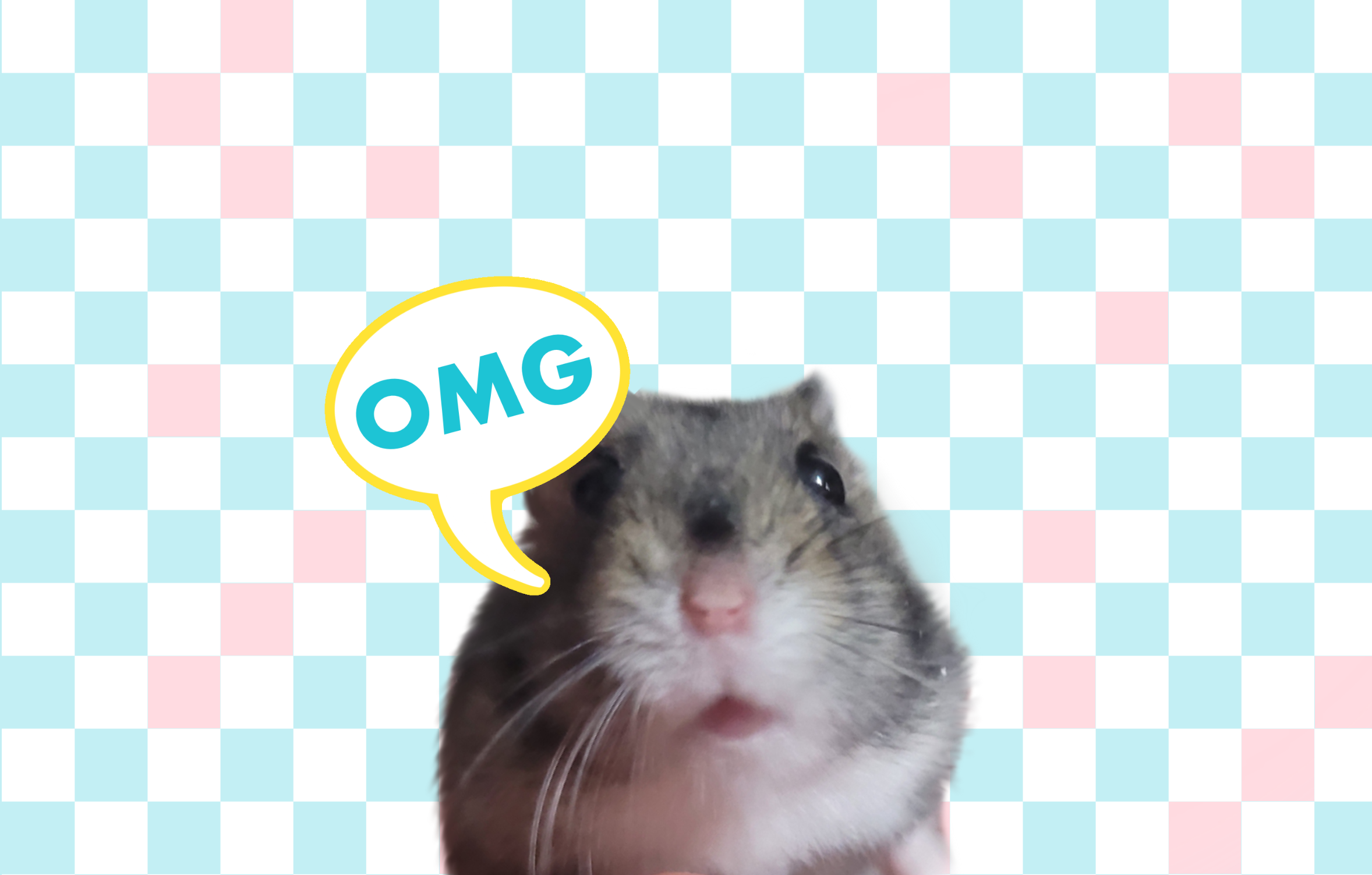 ENVÍOS POR BLUE EXPRESS