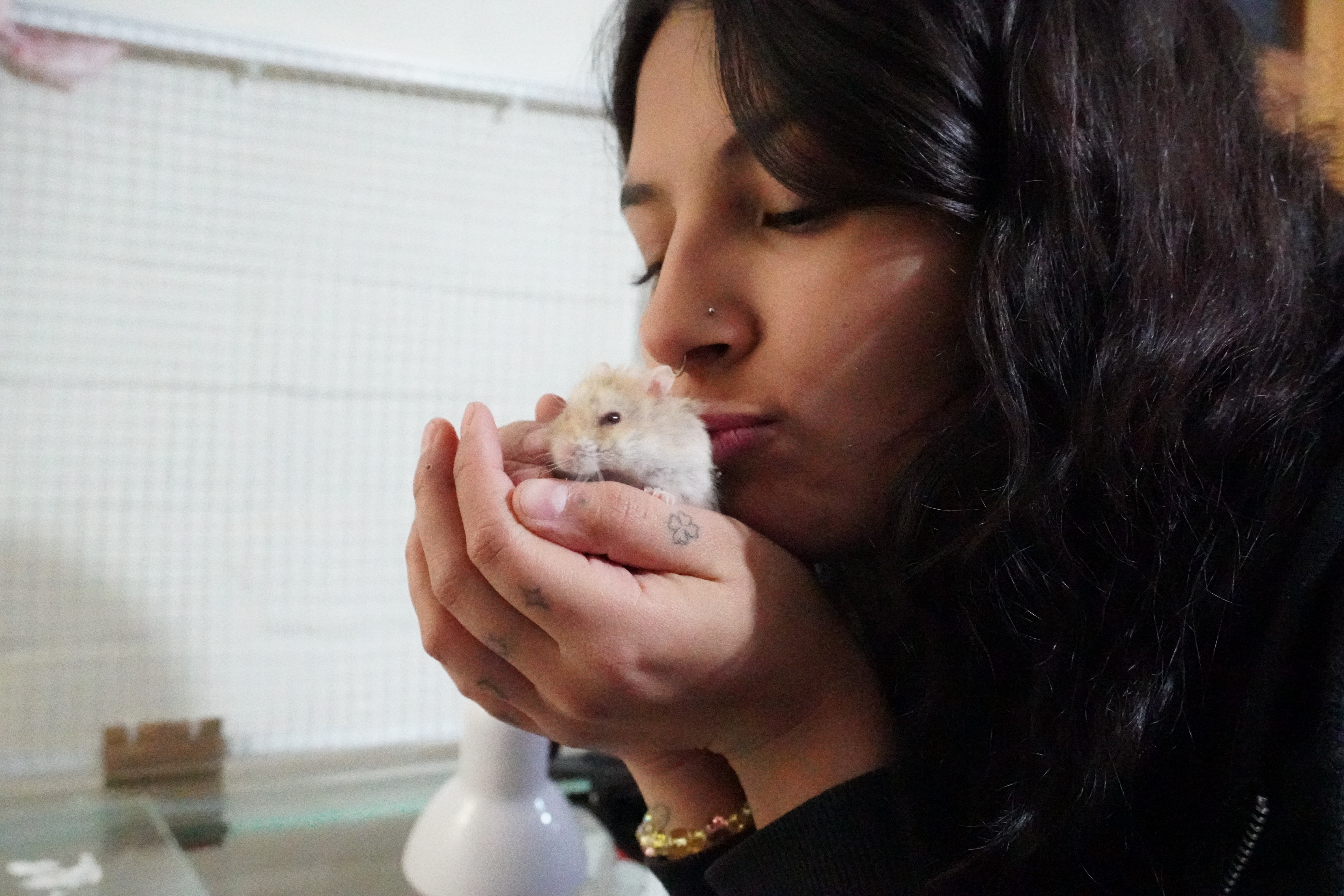 Listado de <br>
veterinarios