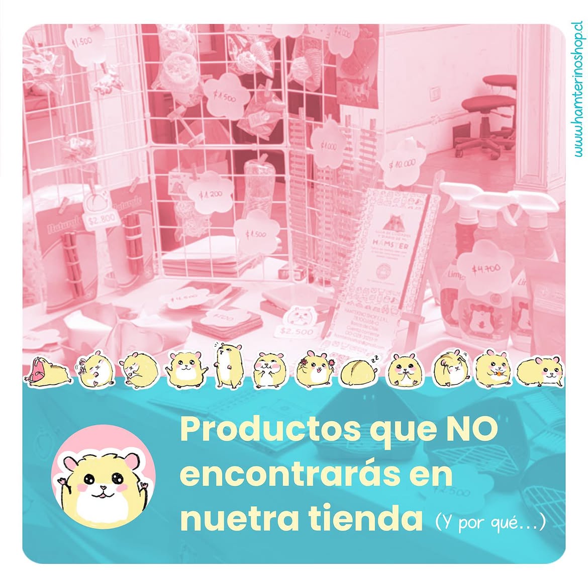 PRODUCTOS QUE NO VENDEMOS