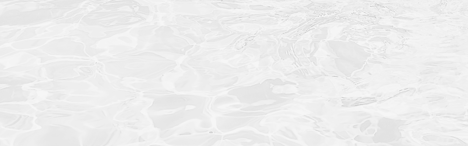 Suscríbete a nuestro Newsletter