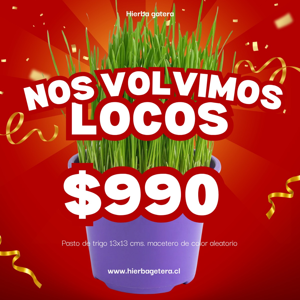 Oferta!