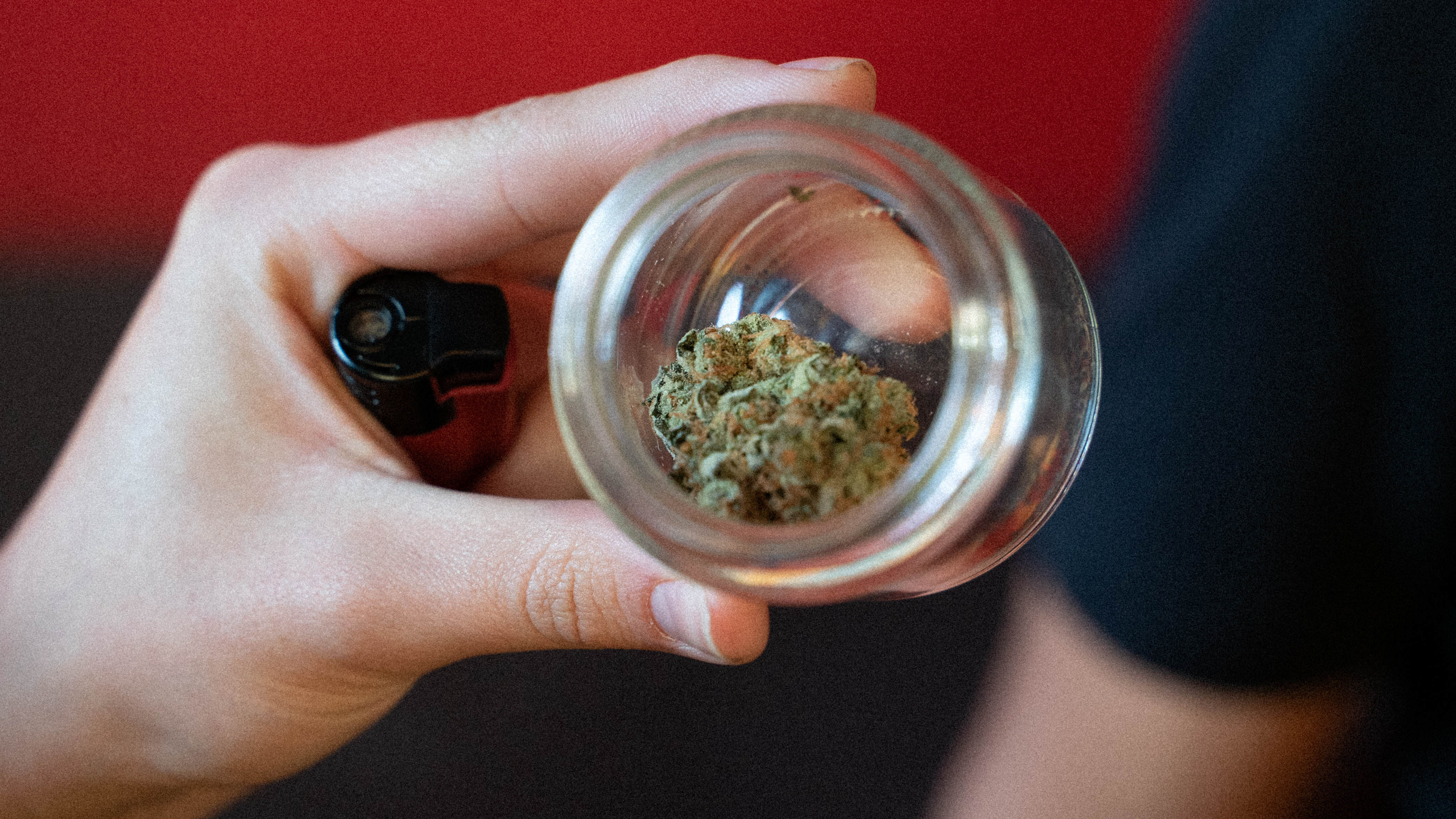 ¿Qué es Colorea High?