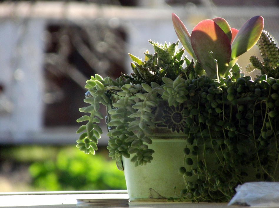 ¡Bienvenido a nuestra tienda Homey<span style="color: rgb(247, 247, 242); font-family: "Albert Sans", sans-serif; font-weight: 300;">！</span>