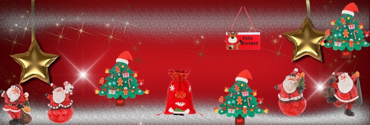 Descubre nuestros  articulos  para este Navidad