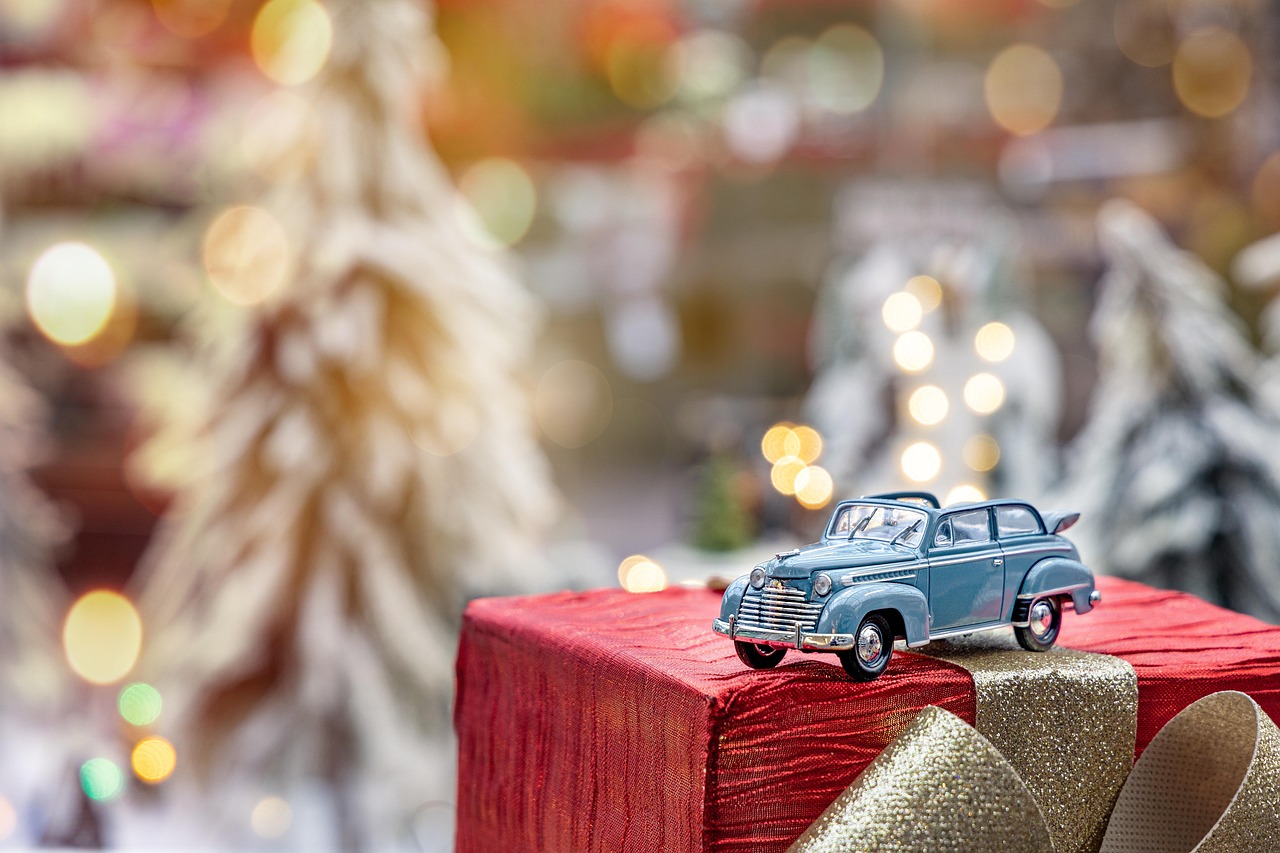 Car Detailing Profesional