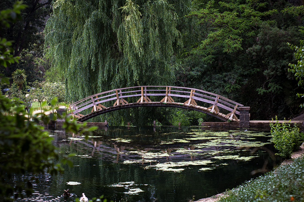 <strong data-start="1445" data-end="1473">Jardín Botánico Nacional</strong>