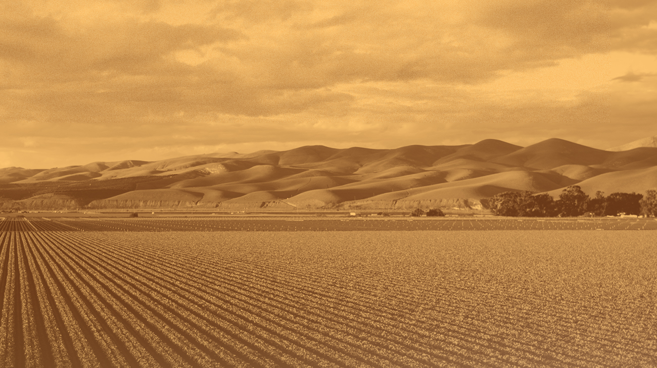 Agricultura regenerativa