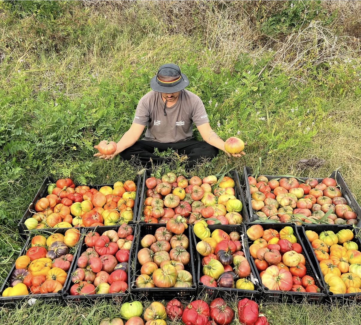 COSECHAS FRESCAS CADA SEMANA 🍅 ☝🏻<div><div></div></div>