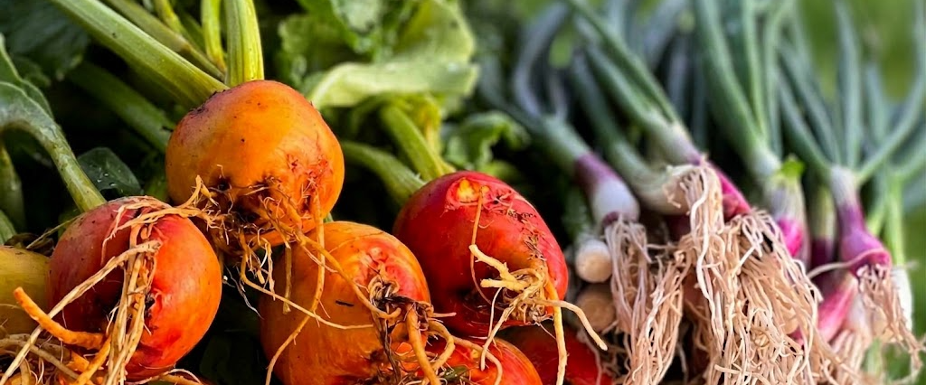 COMER SANO <div>ES VIVIR MEJOR</div>