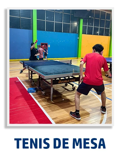 Velta (Importadora Bilingual) - Deportes y recreación