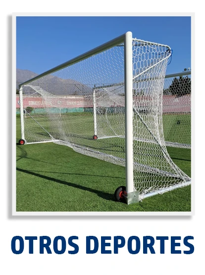 Velta (Importadora Bilingual) - Deportes y recreación