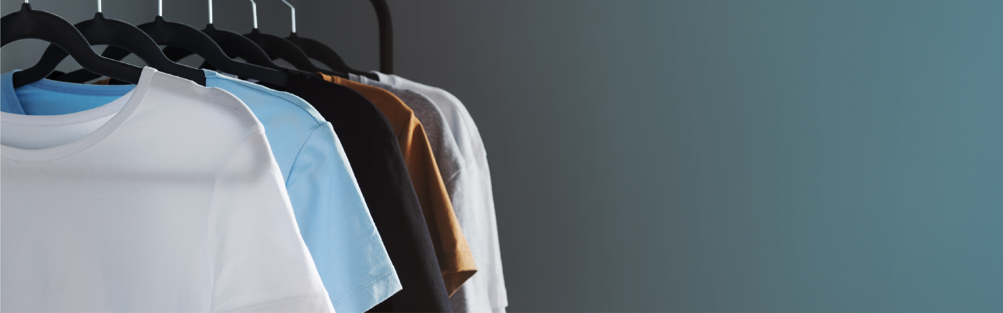 Poleras de temporada