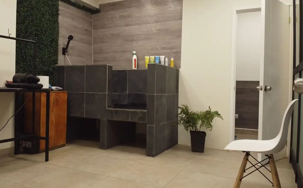 Peluquería Canina Reñaca Viña del Mar