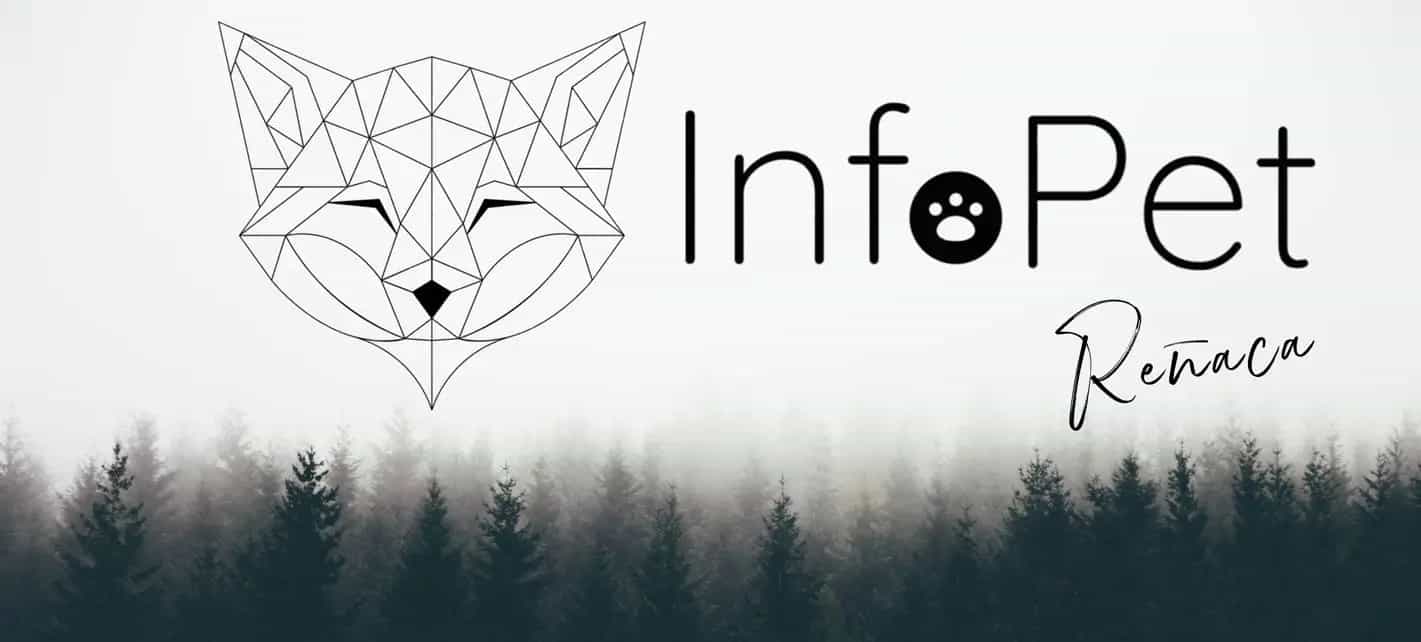 InfoPet Reñaca Tienda de Mascotas en Viña del Mar  Productos y Servicios para Perros y Gatos