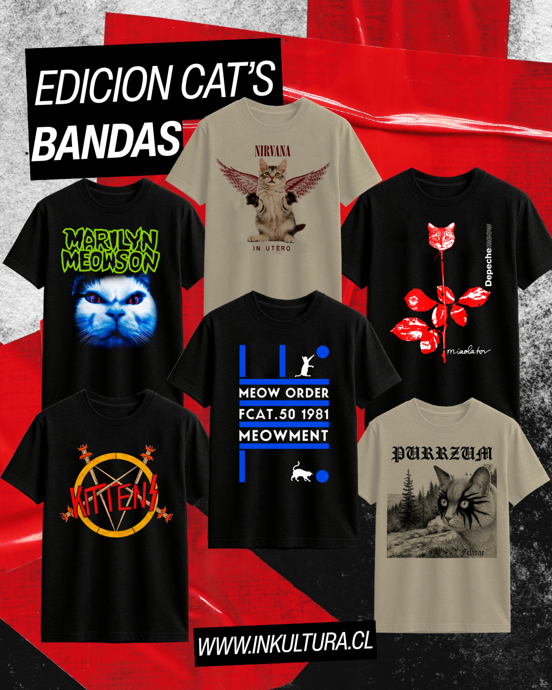 Edicion Gatos & Bandas!!