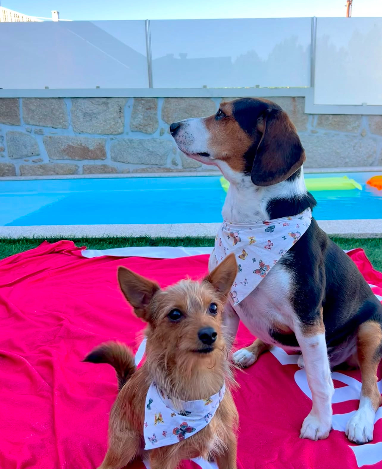 ACOMPANHA O NOSSO DIA NO INSTRAGRAM