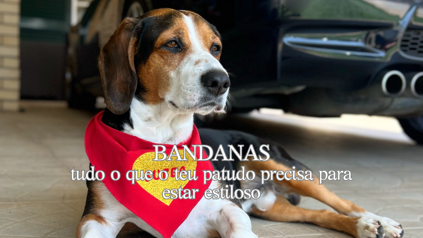 Inspired By Bubba | Acessórios para animais de estimação