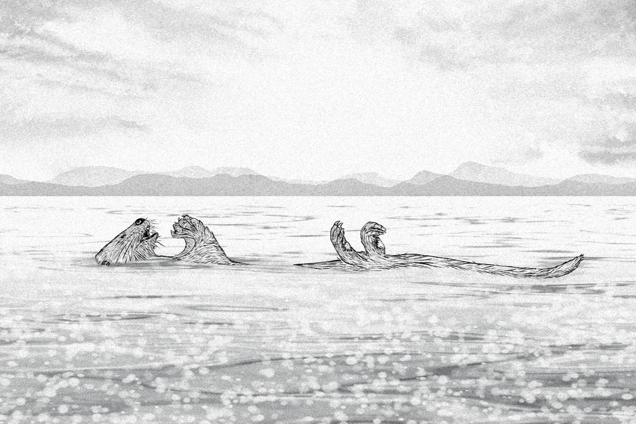 PORTAFOLIO 