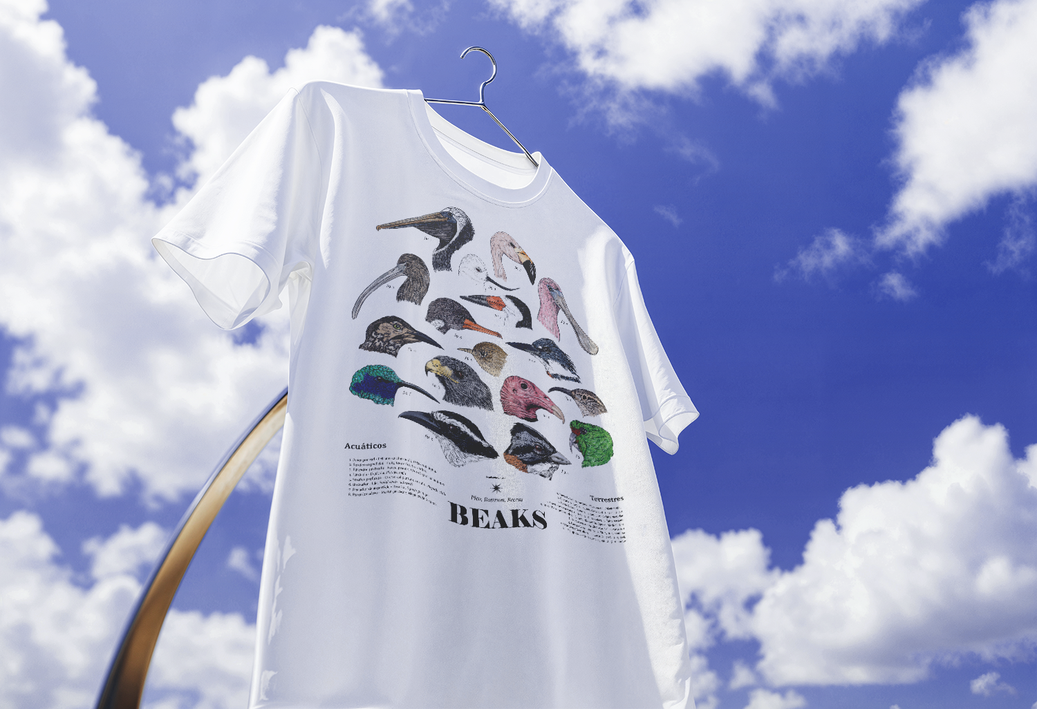 Nueva colección Anatomía