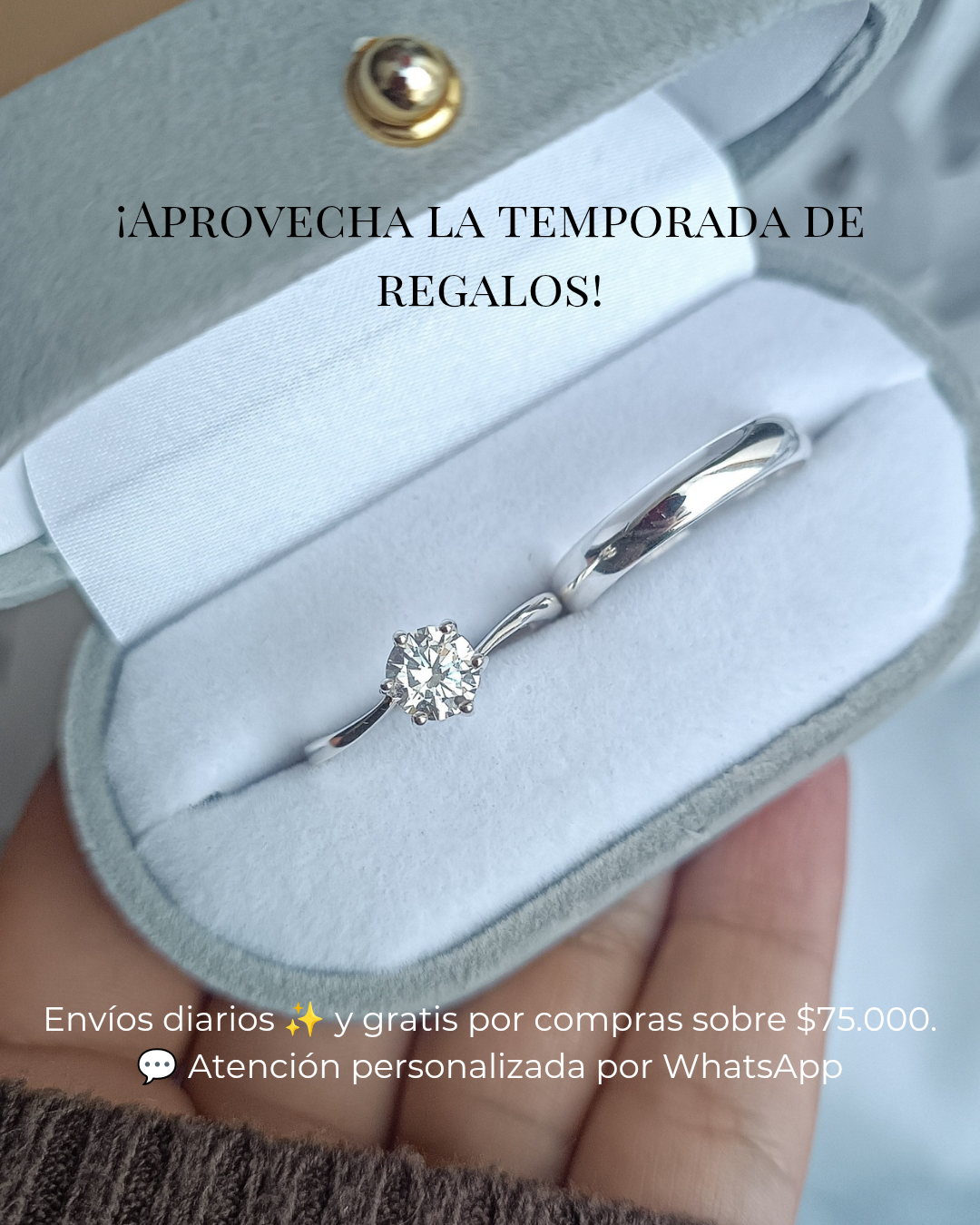 Título de la Sección