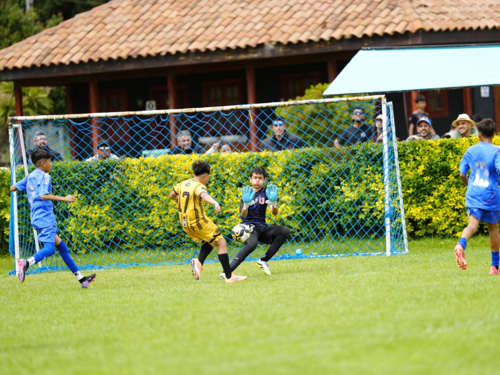 AWC CANCHA 5-6