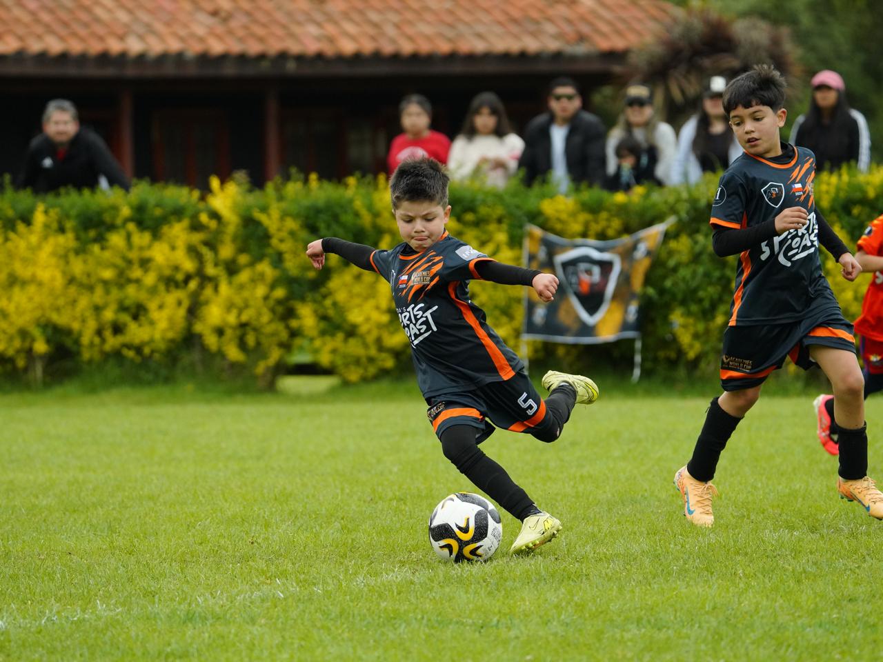 AWC CANCHA 1-2