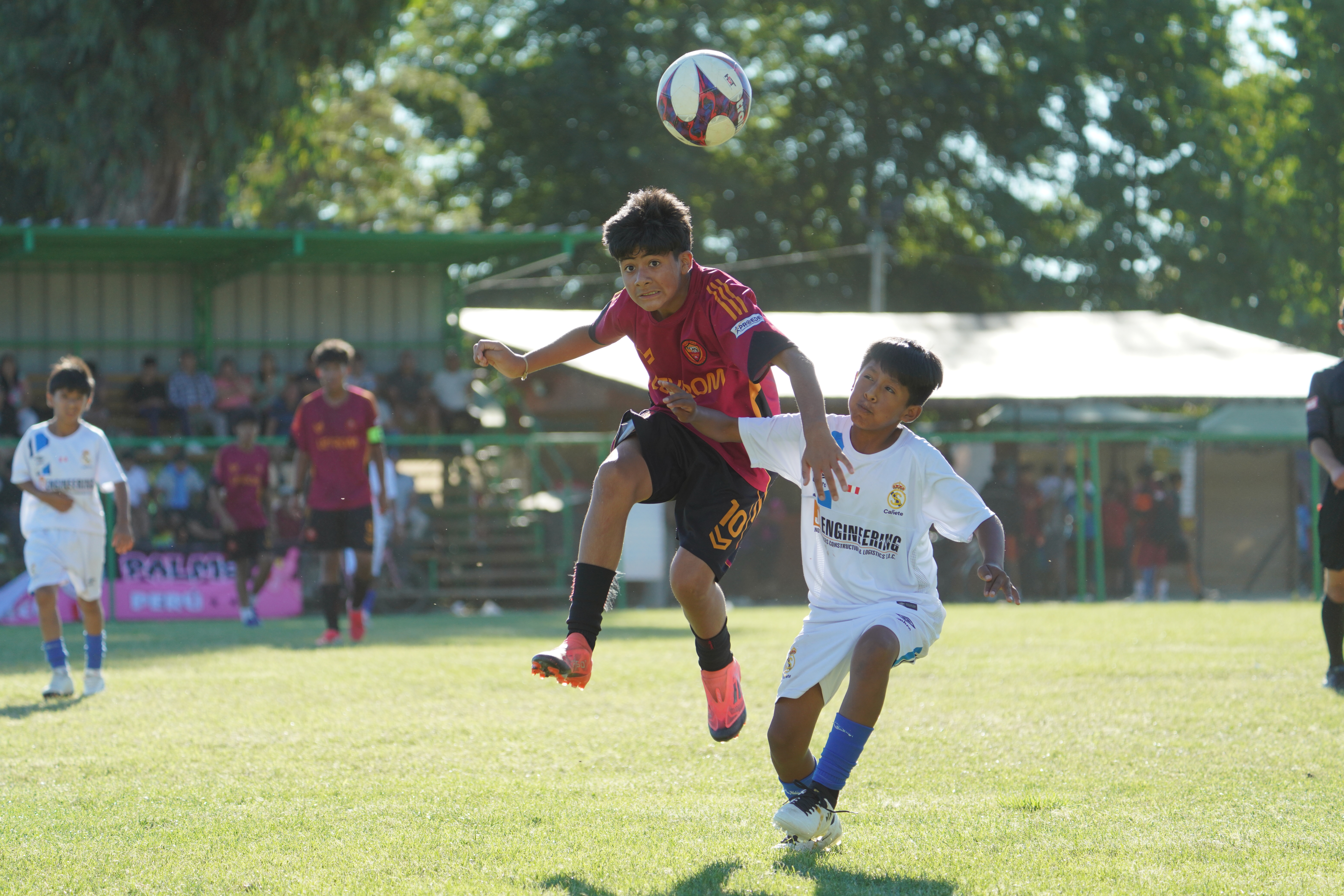 FOTOGRAFIAS PROFESIONALES