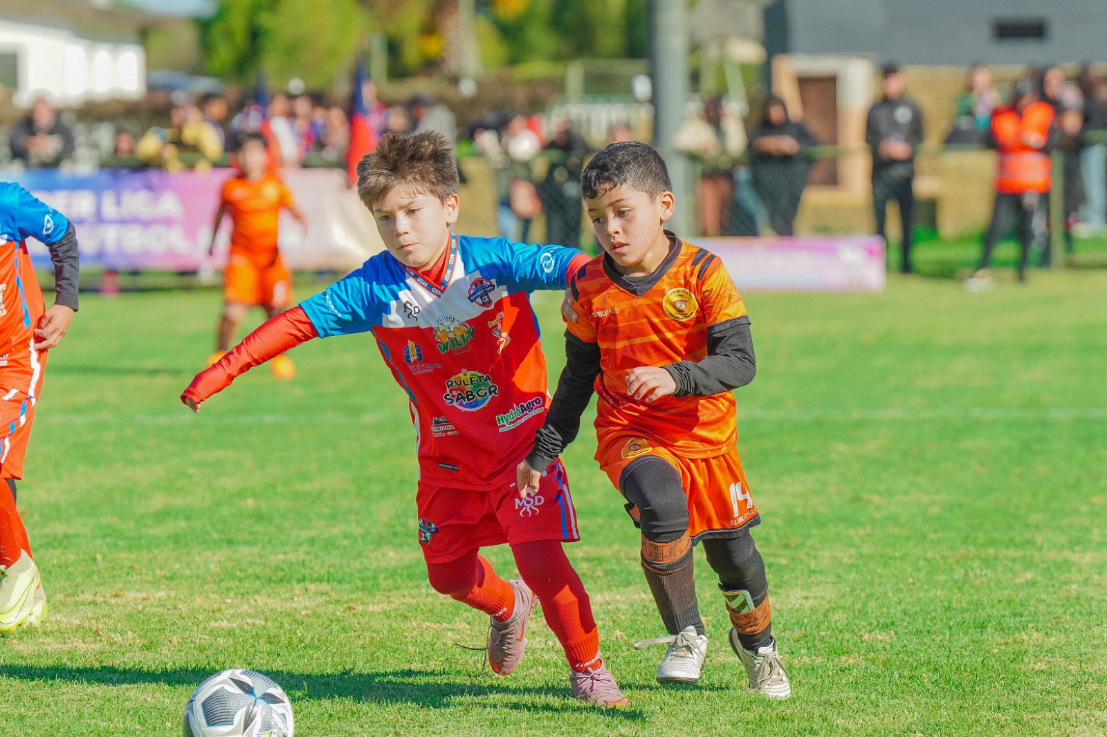 V LEAGUE VARIAS CANCHAS