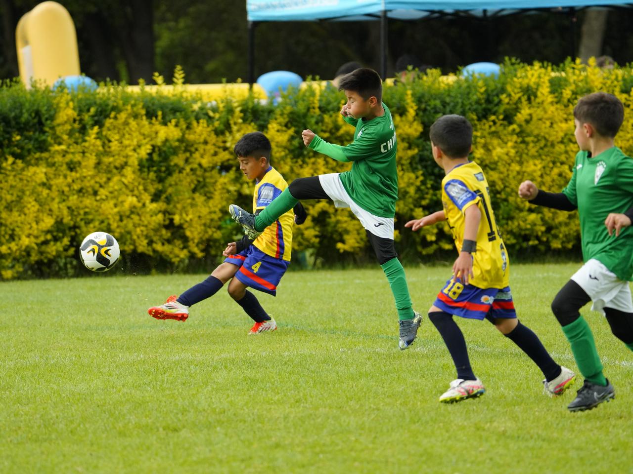 AWC CANCHA 3-4