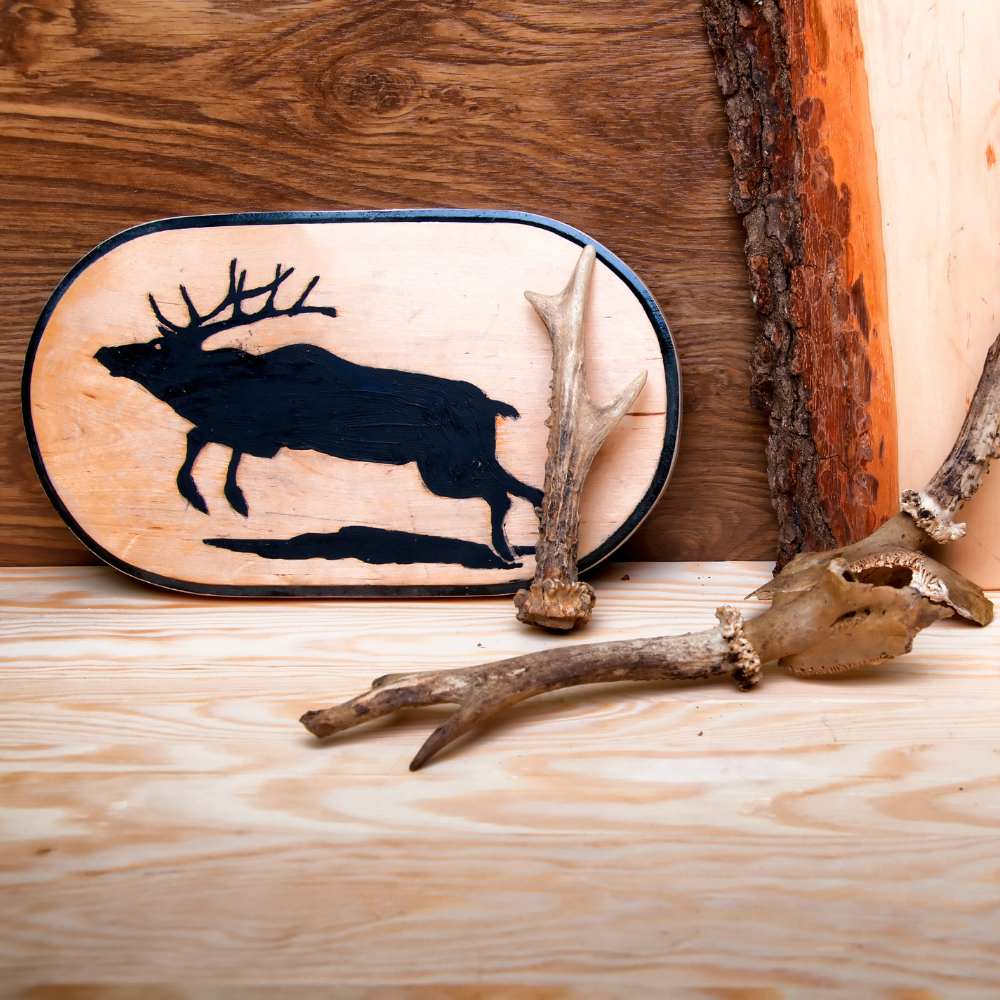 Otros productos para taxidermia