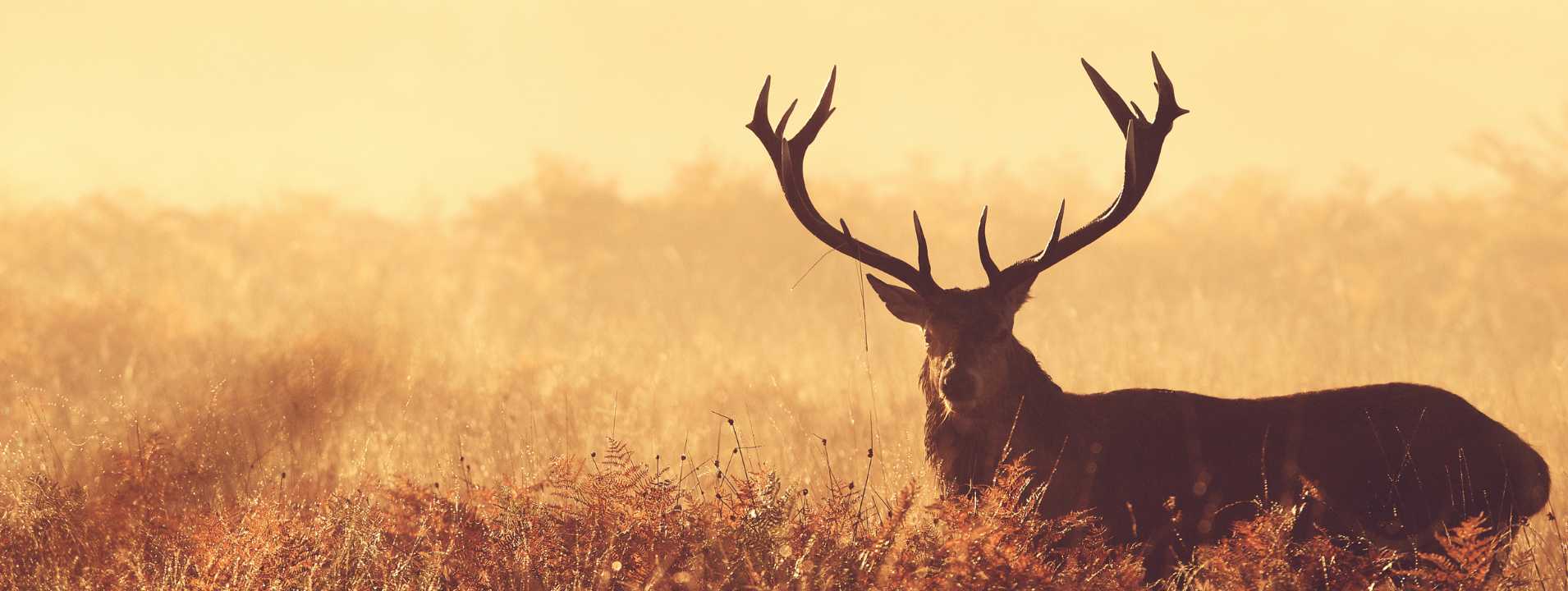 Bienvenidos a Hipercaza