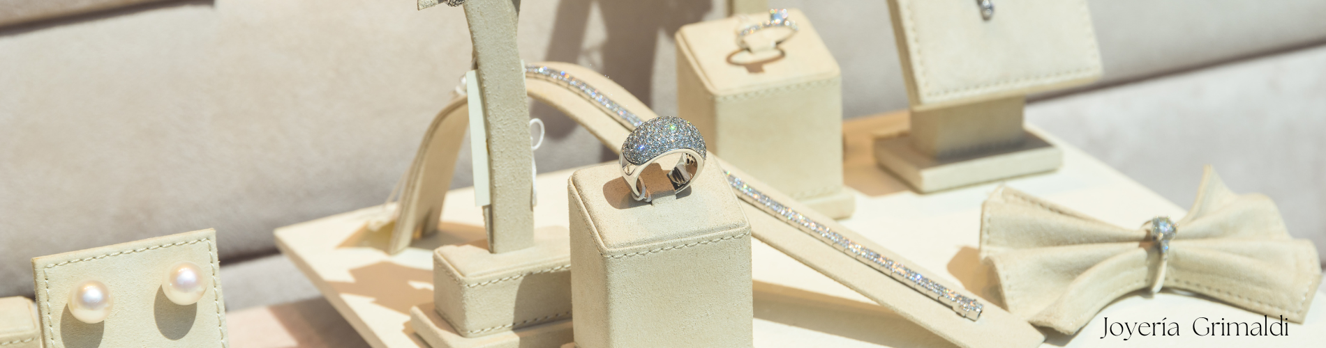 Ver Nueva Colección