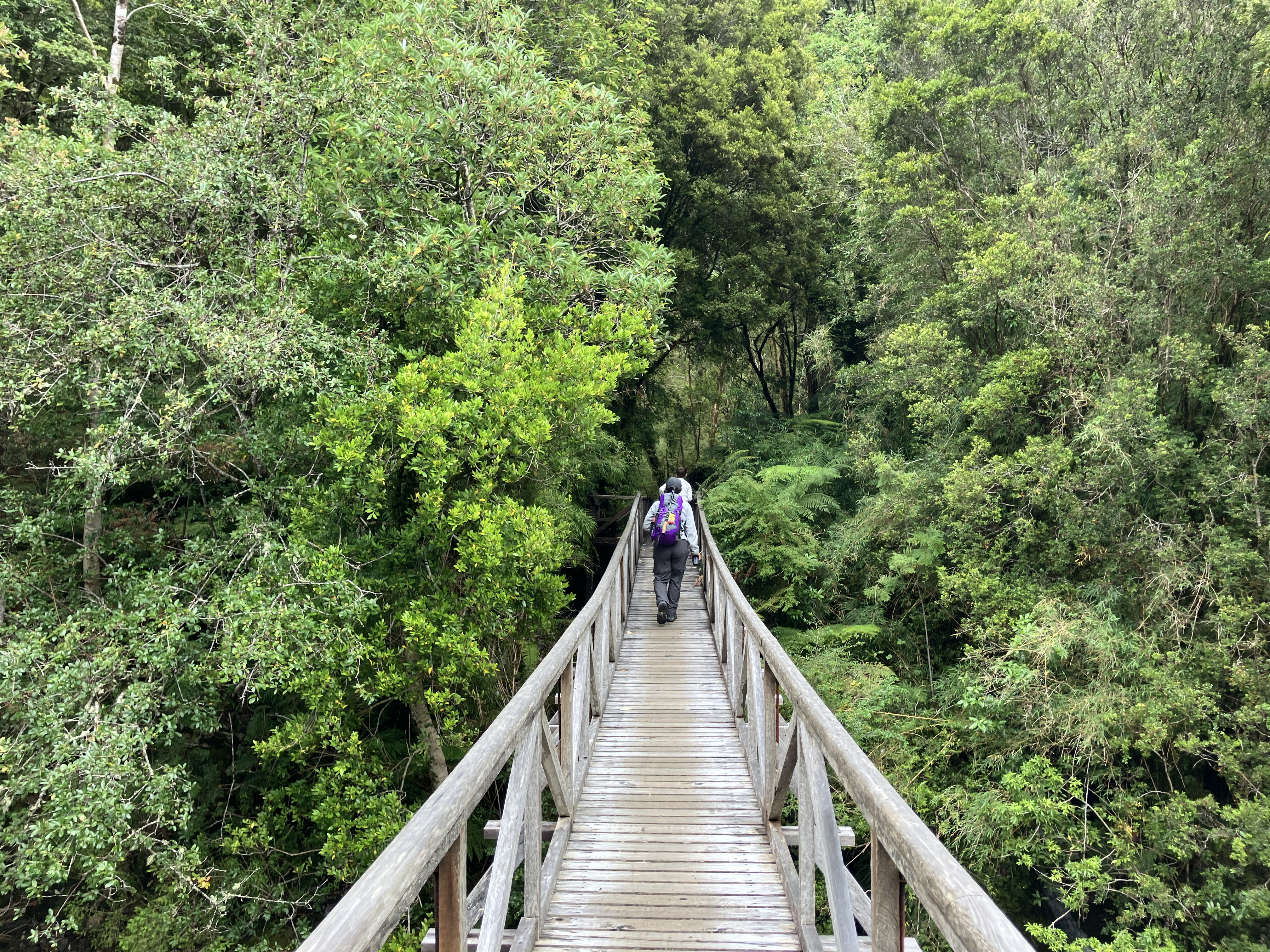 ¿Por qué elegir KAMAG?