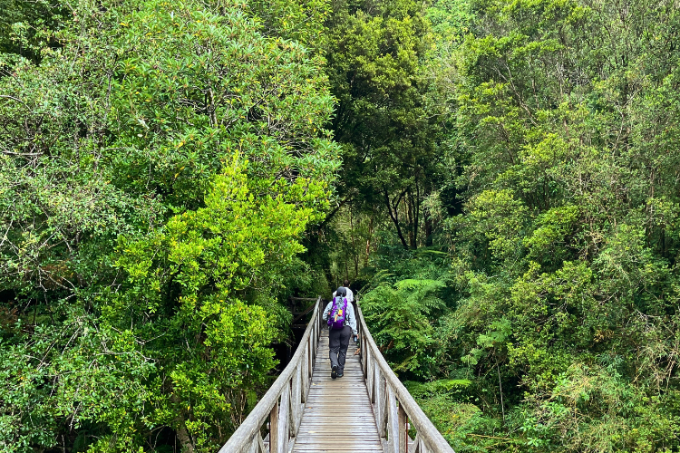 ¿Por qué elegir KAMAG?