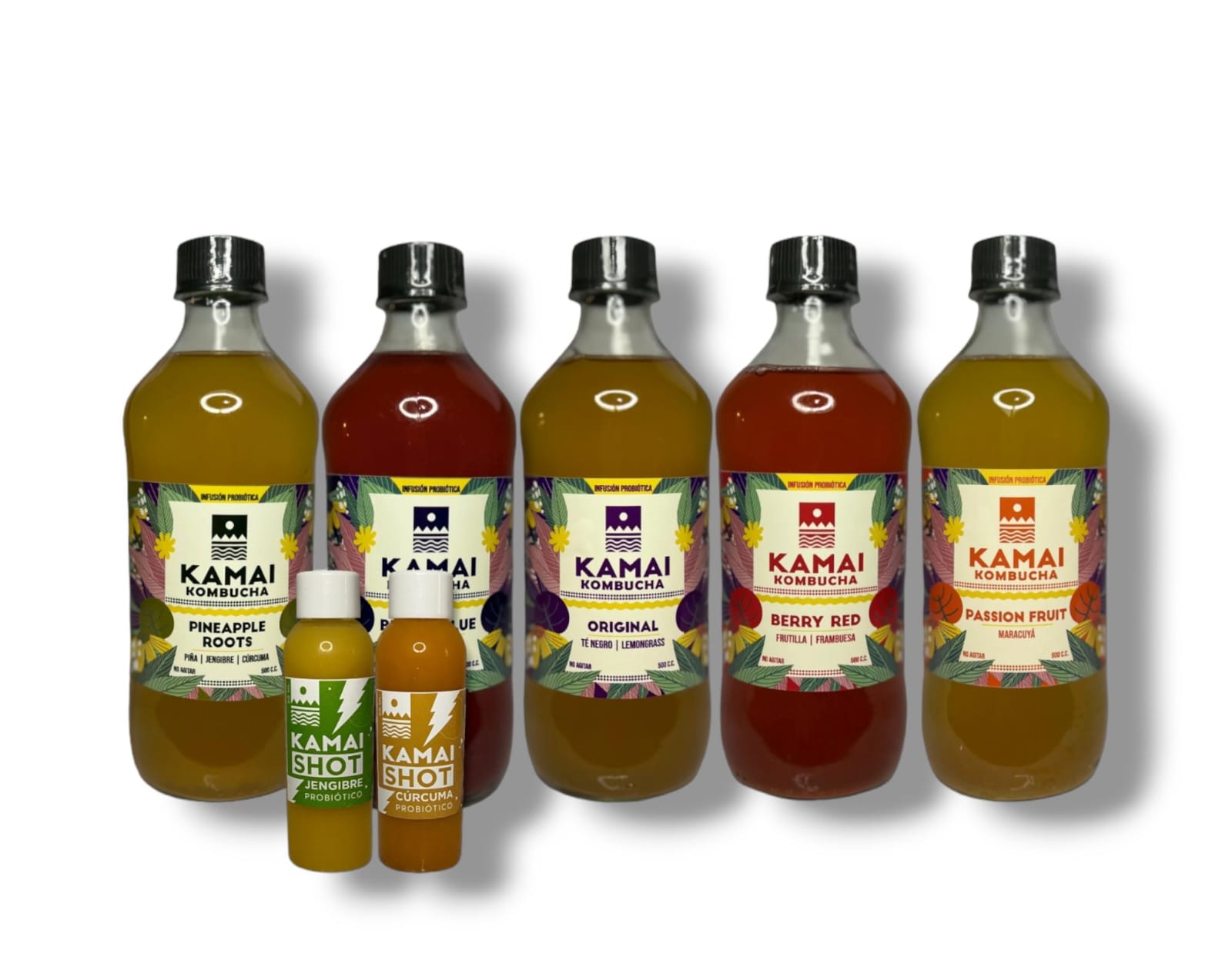 ¡La kombucha que estabas buscando está aquí!