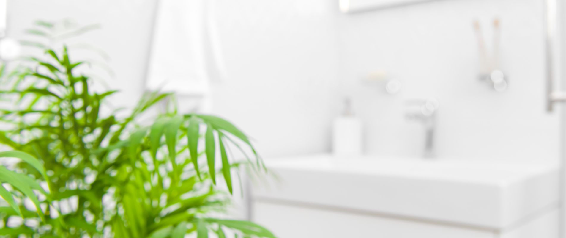 <big>enero 10% off</big>