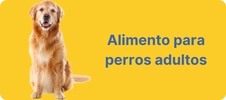 Alimento para perros adultos