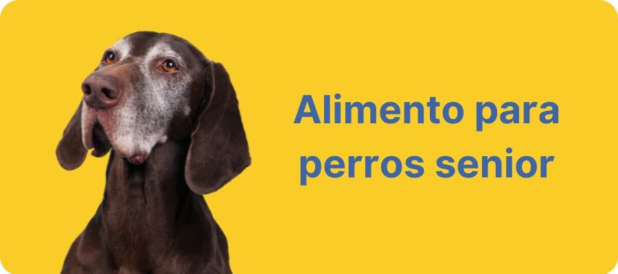 Alimento para perros senior