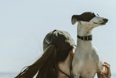 Guía Soulpet Premium