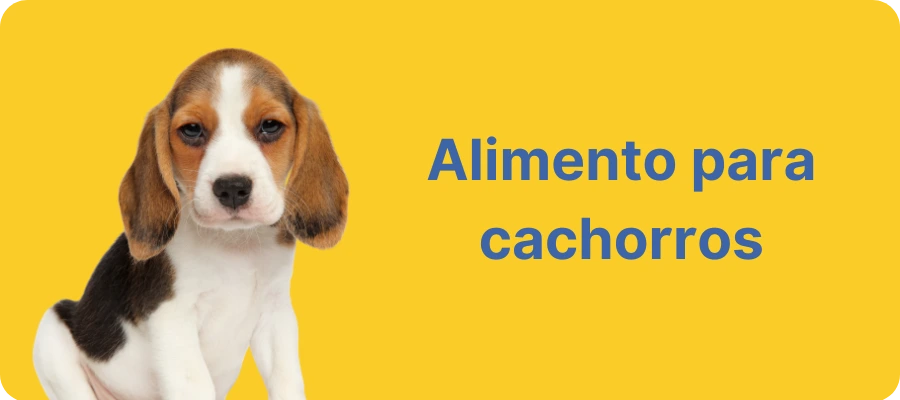 Alimento para cachorros