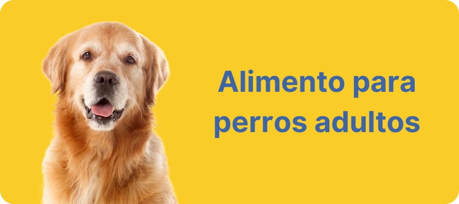 Alimento para perros adultos