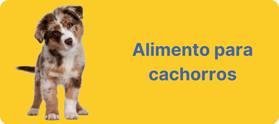 Alimento para cachorros