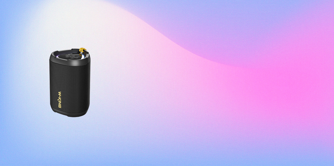 <div>W-King <br>D110</div>