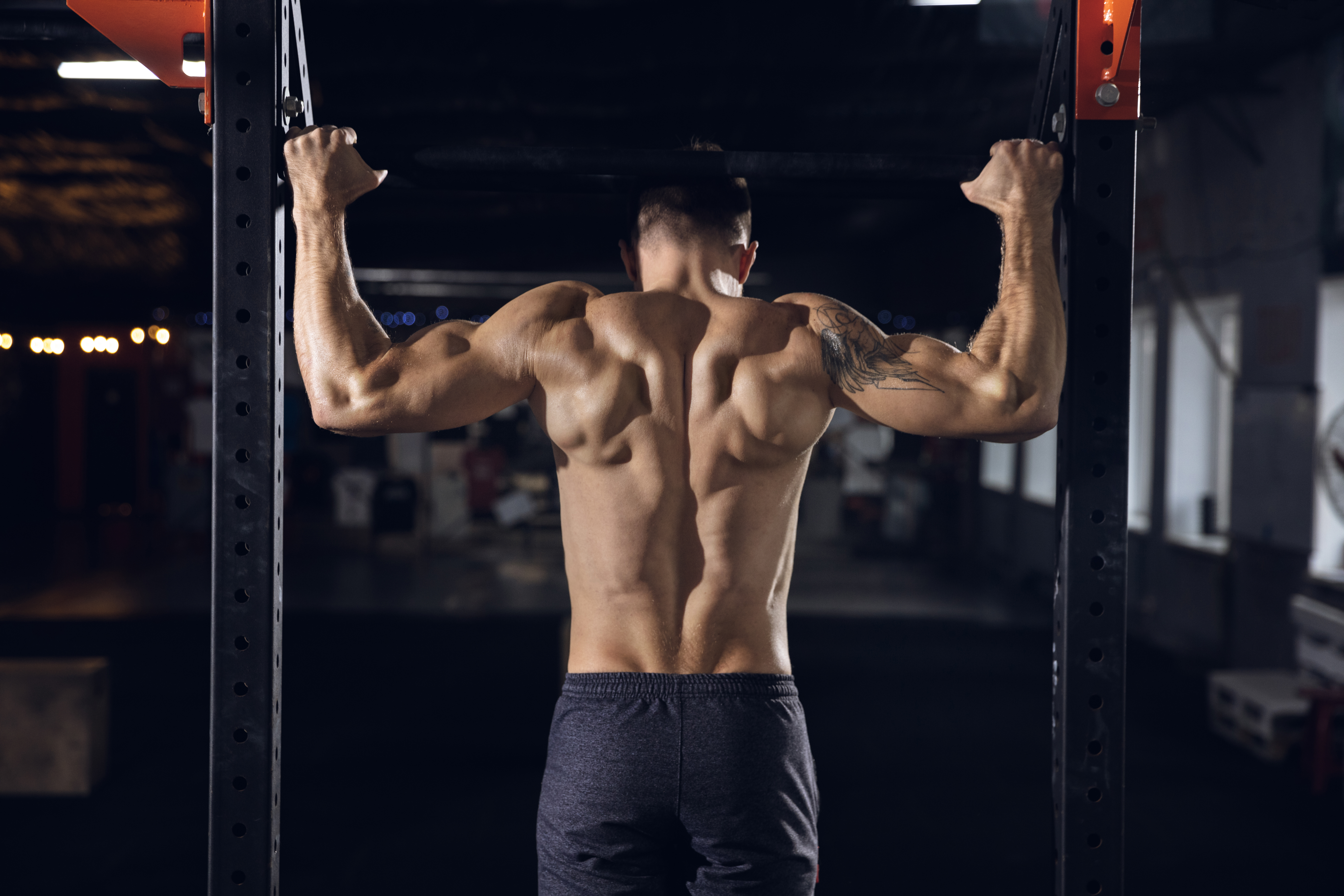 Kn Nutrition Argentina