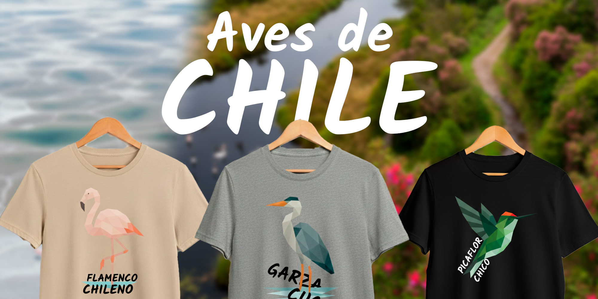 Título de la sección