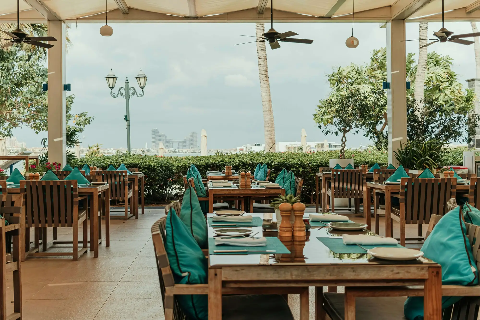 COLECCION RESTAURANT