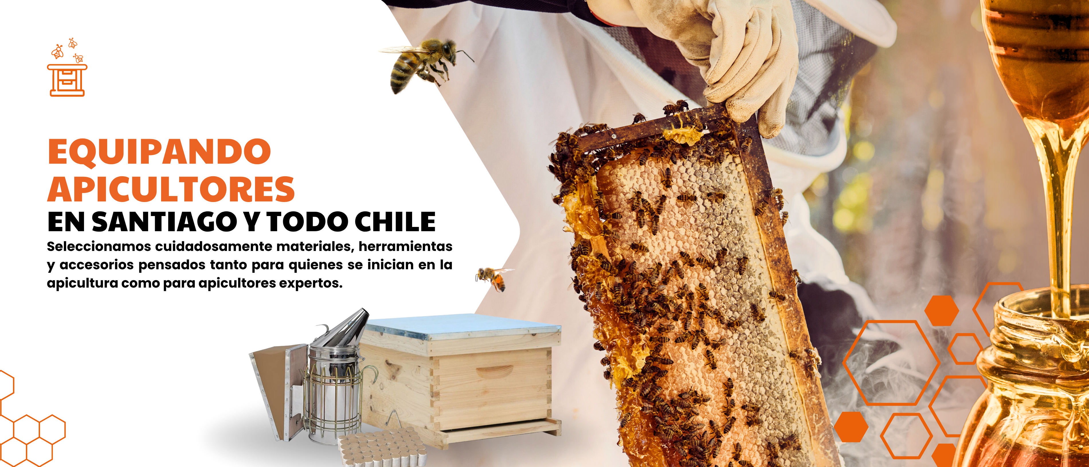 Bienvenidos