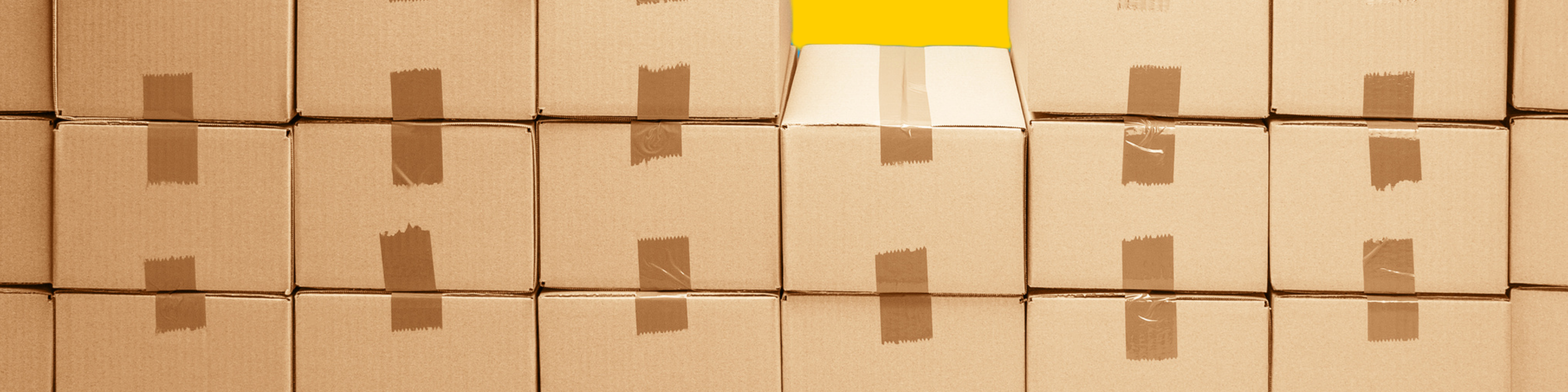 Descubre las novedades