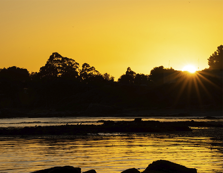 Paisajes Naturales y Urbanos